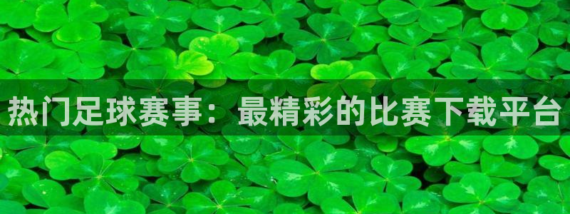  热门足球赛事：最精彩的比赛下载平台