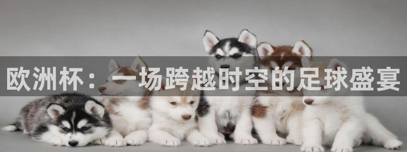 欧洲杯：一场跨越时空的足球盛宴