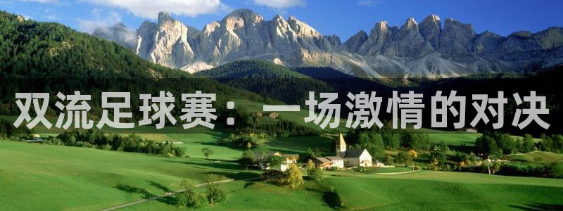 双流足球赛：一场激情的对决