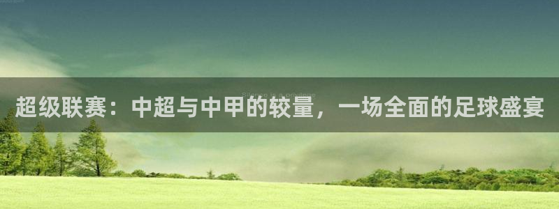 超级联赛：中超与中甲的较量，一场全面的足球盛宴