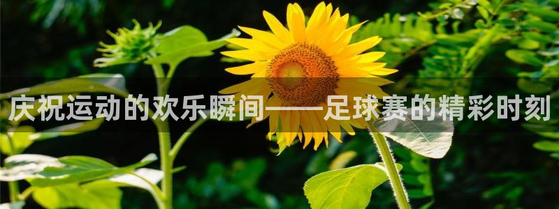  庆祝运动的欢乐瞬间——足球赛的精彩时刻