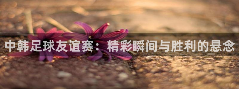  中韩足球友谊赛：精彩瞬间与胜利的悬念