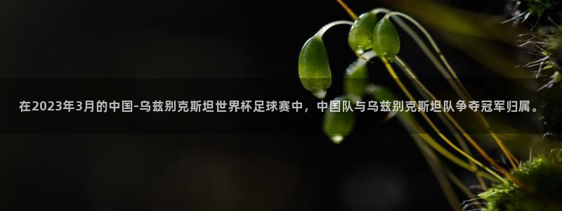 在2023年3月的中国-乌兹别克斯坦世界杯足球赛中，中国队与