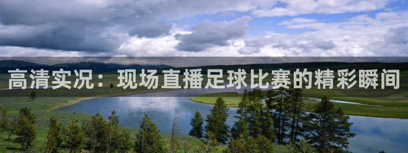  高清实况：现场直播足球比赛的精彩瞬间