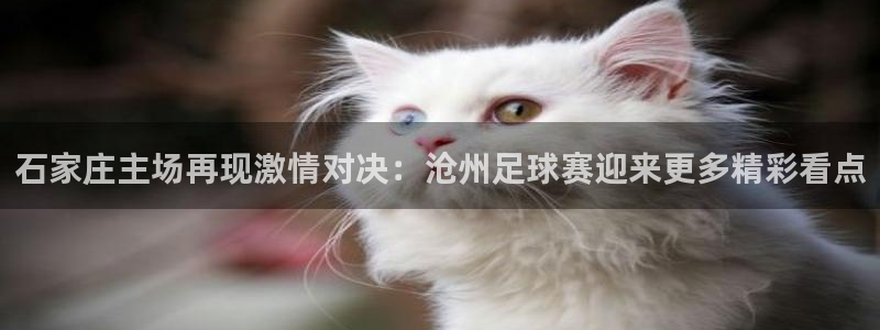  石家庄主场再现激情对决：沧州足球赛迎来更多精彩看点