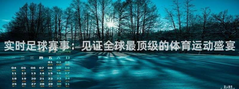 实时足球赛事：见证全球最顶级的体育运动盛宴