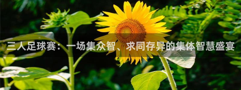 三人足球赛：一场集众智、求同存异的集体智慧盛宴