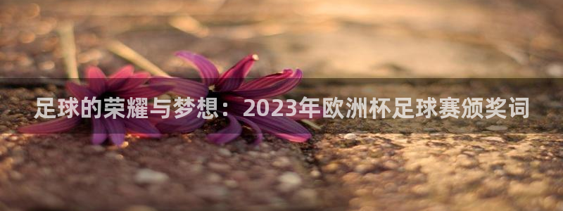  足球的荣耀与梦想：2023年欧洲杯足球赛颁奖词