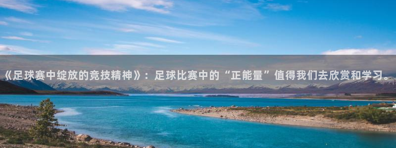 《足球赛中绽放的竞技精神》：足球比赛中的“正能量”值得我们去