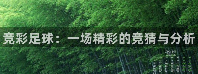 竞彩足球：一场精彩的竞猜与分析