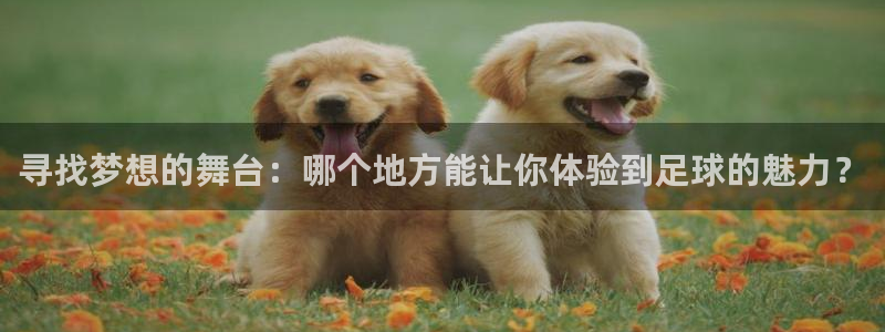  寻找梦想的舞台：哪个地方能让你体验到足球的魅力？