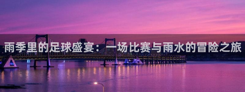 雨季里的足球盛宴：一场比赛与雨水的冒险之旅