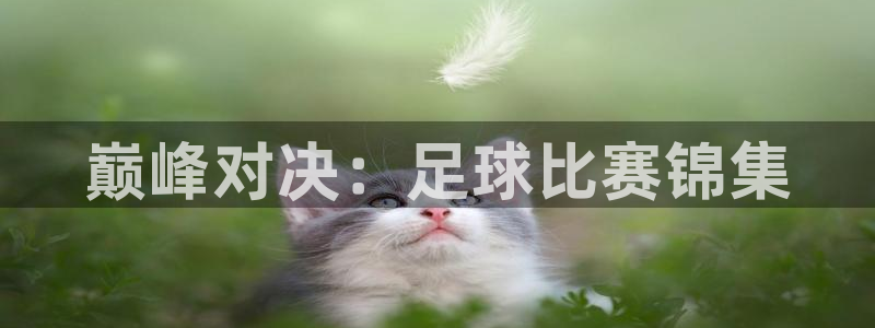  巅峰对决：足球比赛锦集