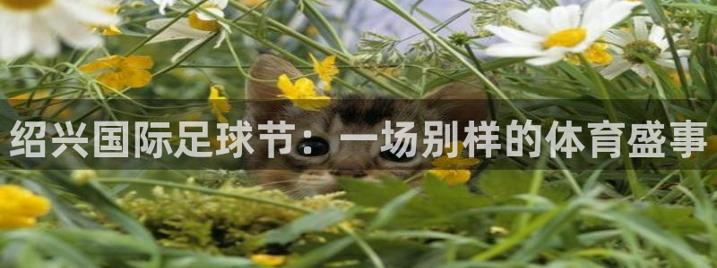 绍兴国际足球节：一场别样的体育盛事