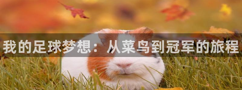 我的足球梦想：从菜鸟到冠军的旅程