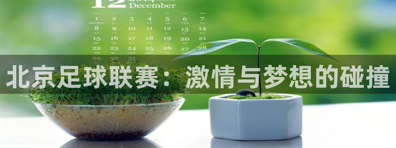  北京足球联赛：激情与梦想的碰撞