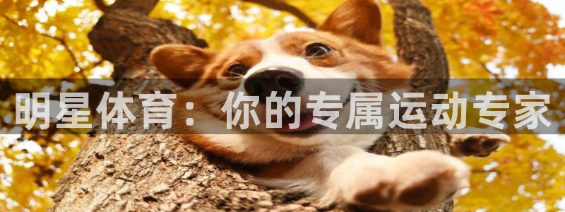 oety欧亿