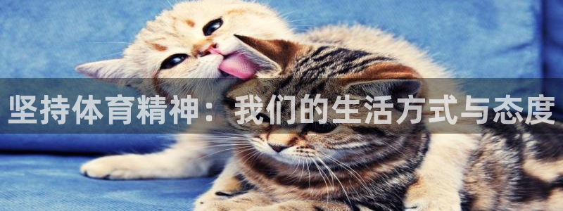 oety欧亿