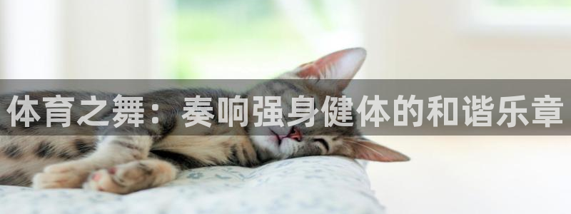 oety欧亿