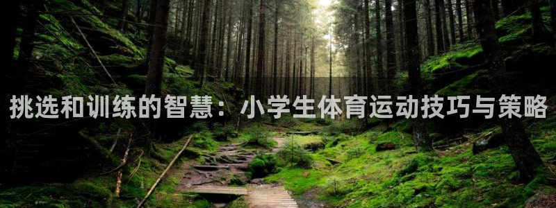 oety欧亿