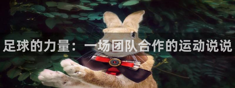 oety欧亿