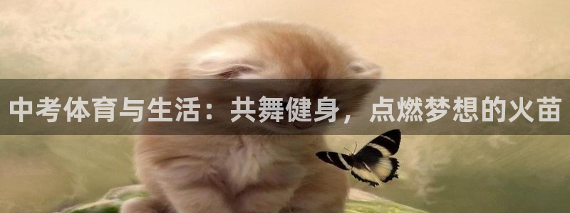 oety欧亿