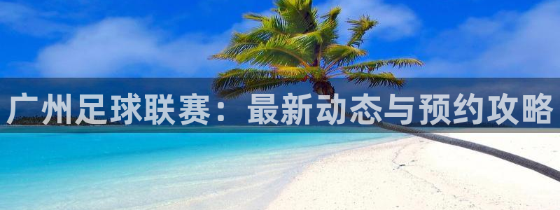 广州足球联赛：最新动态与预约攻略
