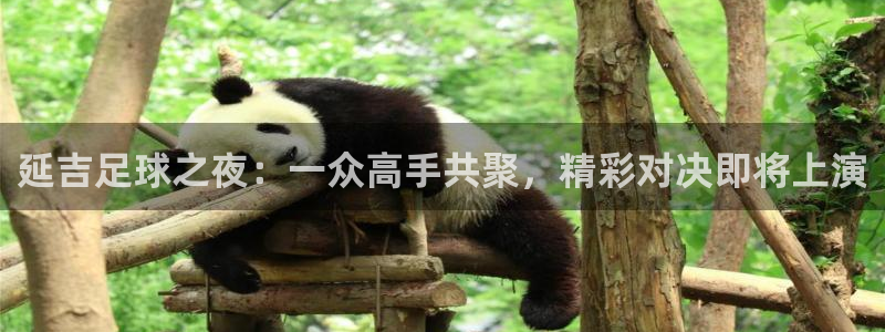 延吉足球之夜：一众高手共聚，精彩对决