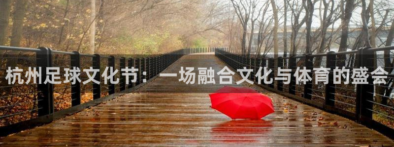 杭州足球文化节：一场融合文化与体育的