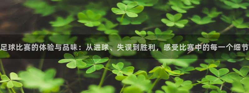 足球比赛的体验与品味：从进球、失误到