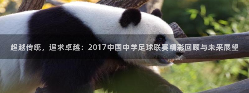 超越传统，追求卓越：2017中国中学